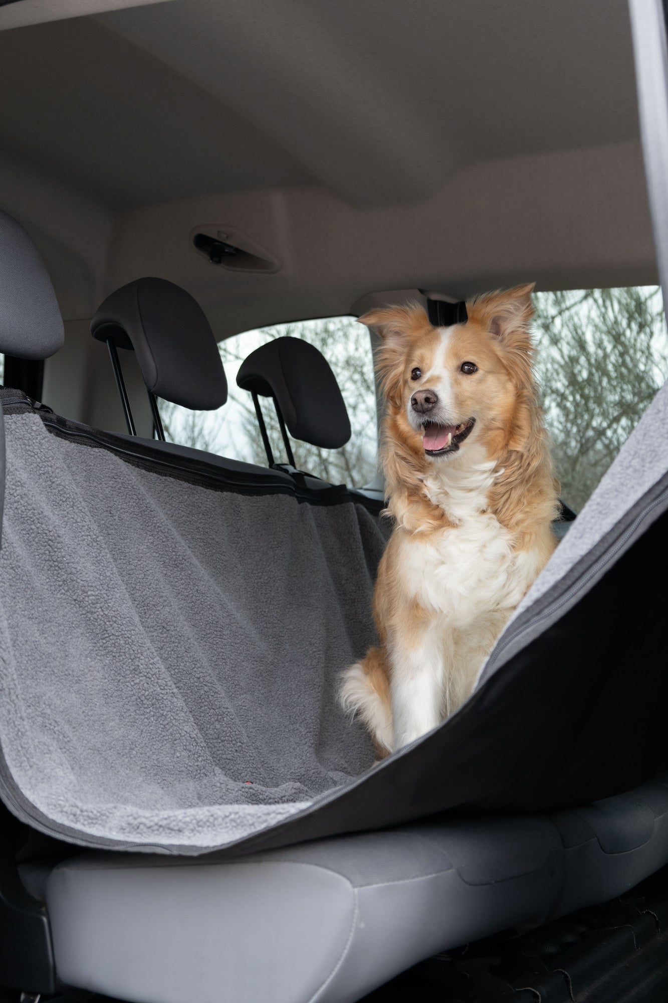 Paco Autoschondecke – Schutz & Komfort für Ihre Autofahrten!