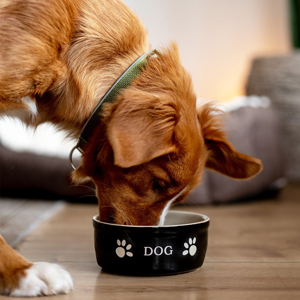 Hunde Keramiknapf „DOG“ – Stilvoll, zeitlos & funktional