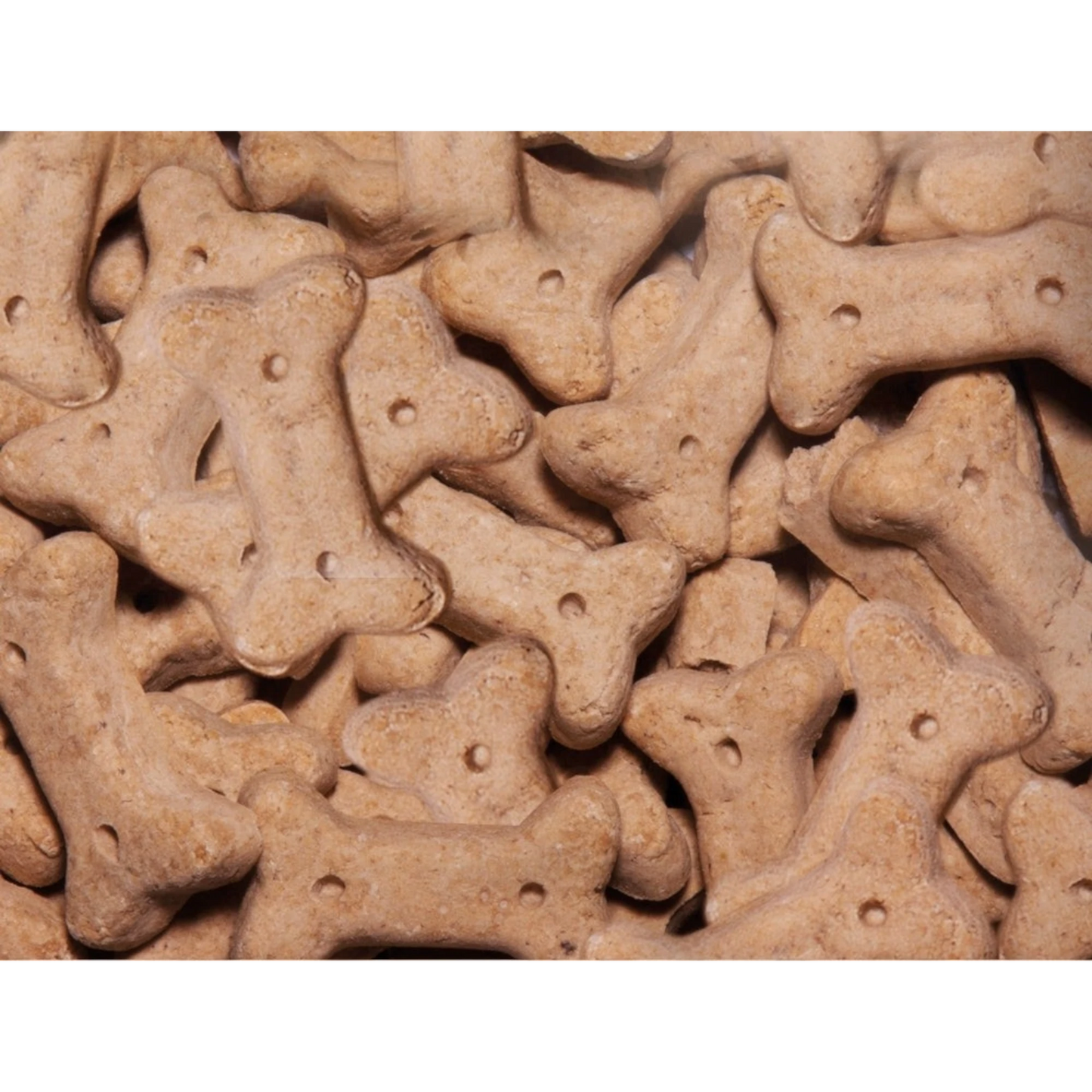 StarSnack Cookies Lamb & Rice – Der sanfte Keksgenuss für sensible Feinschmecker