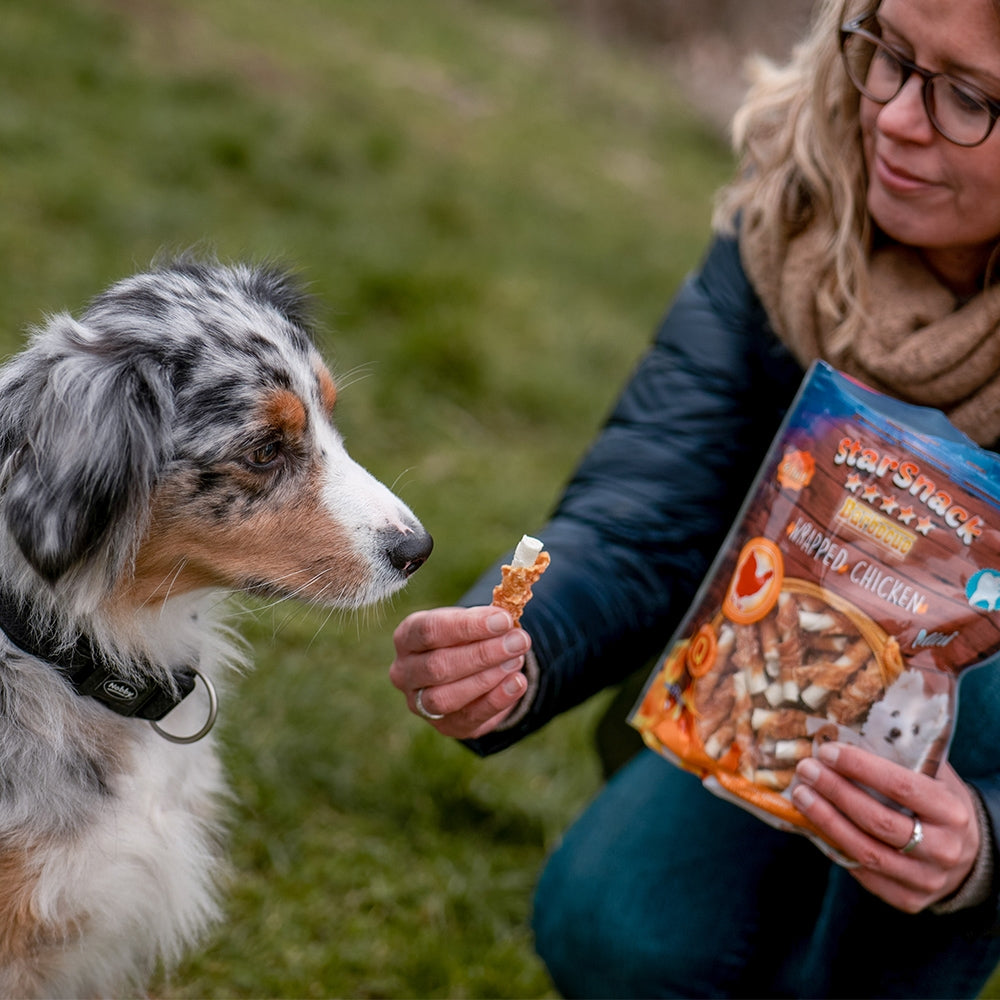 StarSnack BBQ MINI Wrapped Chicken – Proteinreicher Kauspaß für kleine Hunde