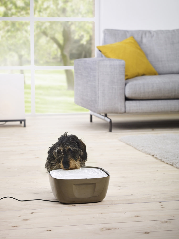 Trinkbrunnen „Volcano“ – Gesunde Hydration für Ihren Vierbeiner