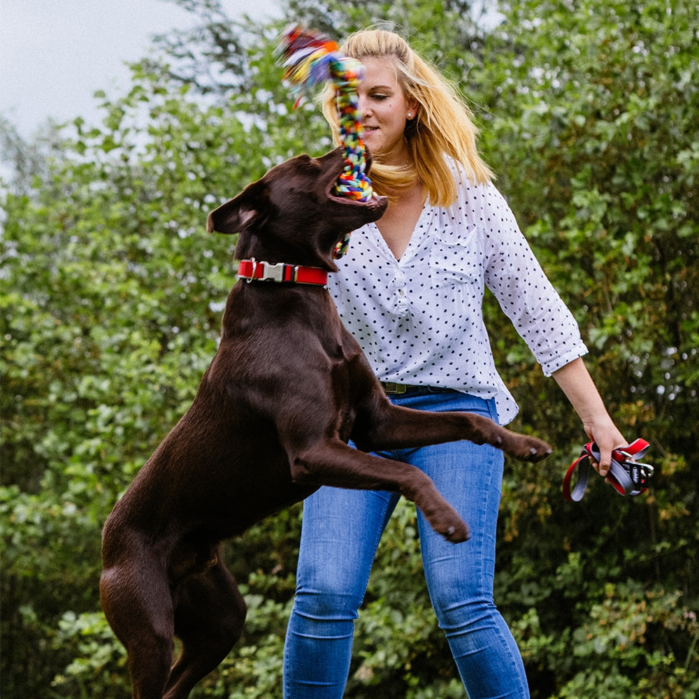 Spielseil doppelt – Robustes Knotenseil für Zerr- & Apportierspiele