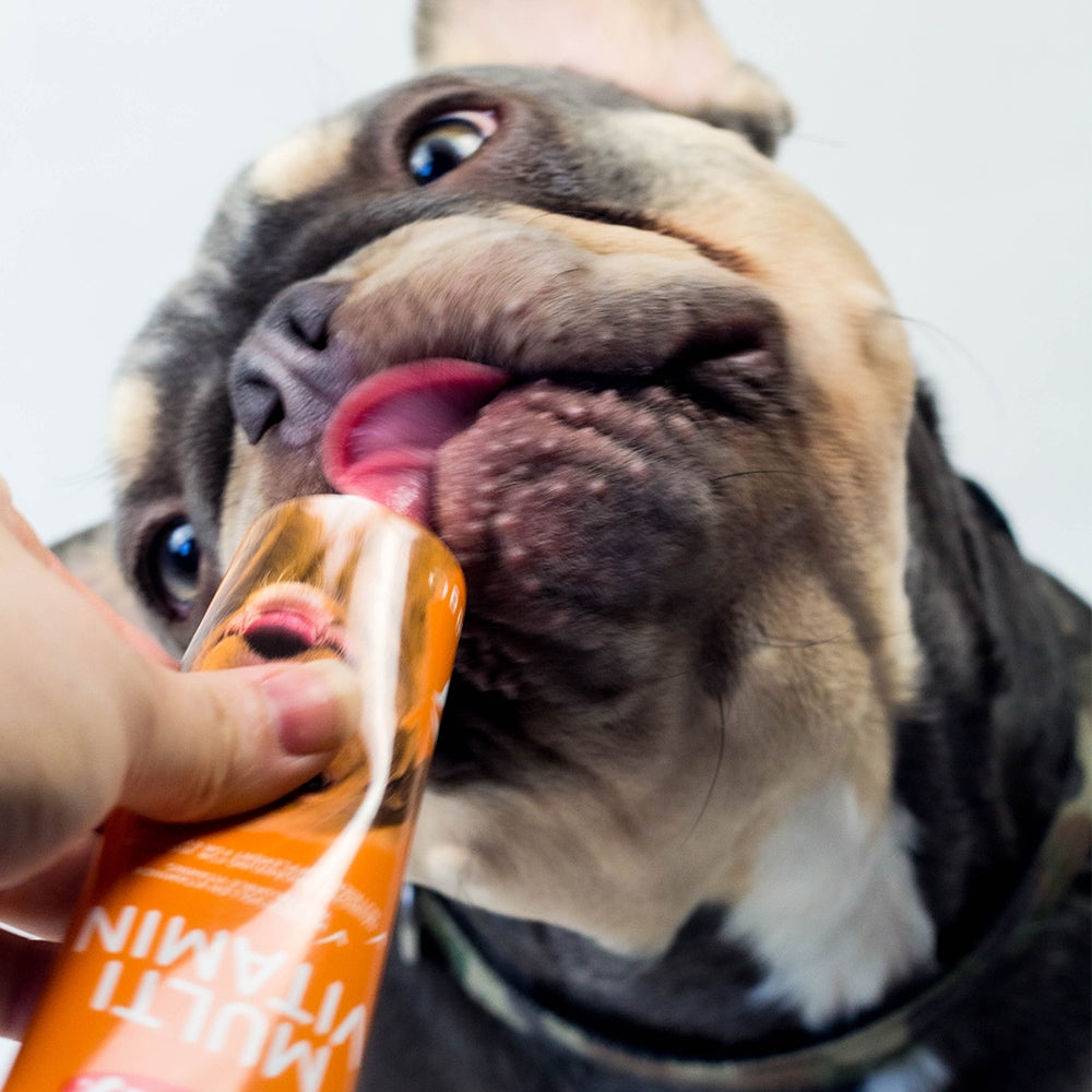Multi Vitamin Hund – Für mehr Vitalität & Wohlbefinden