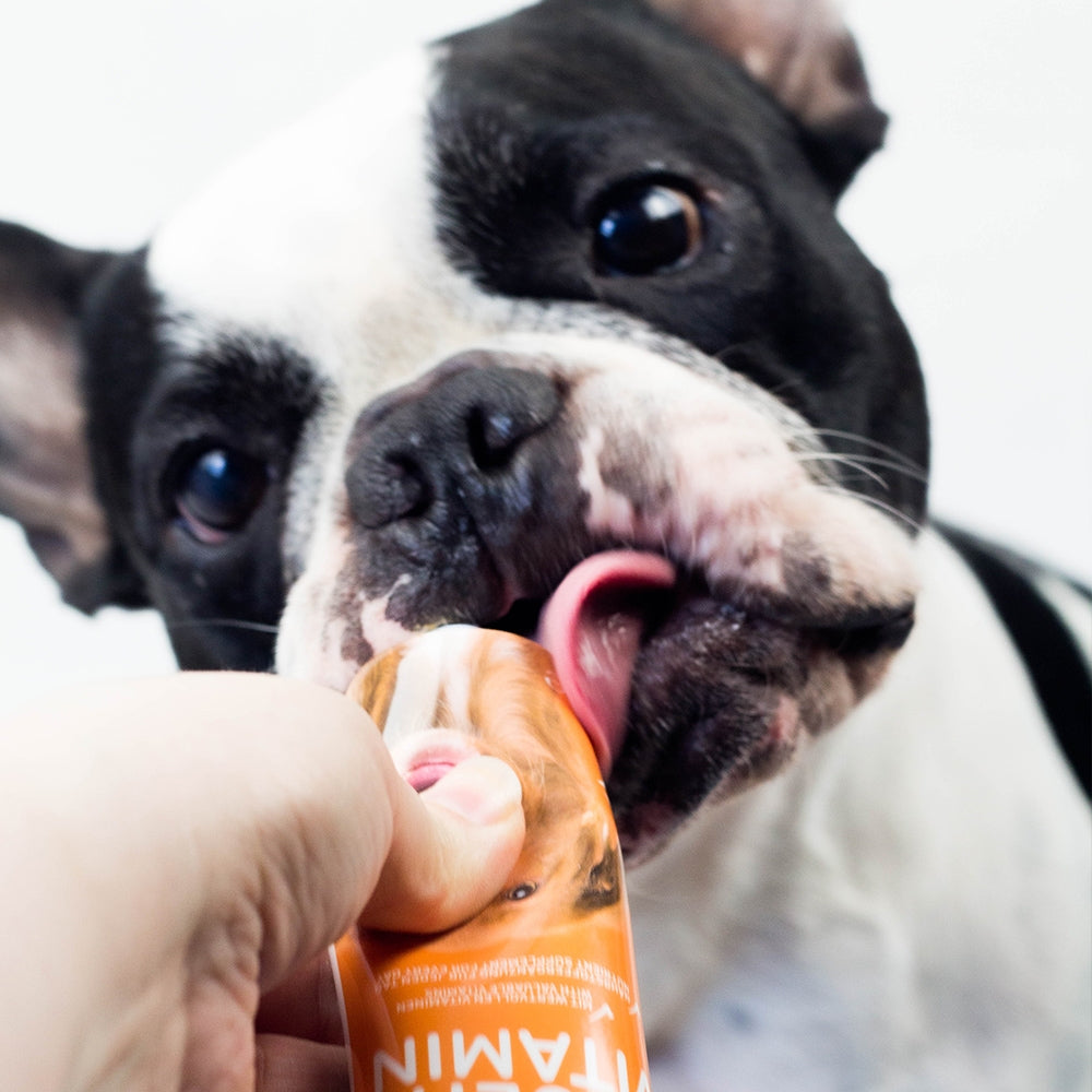Multi Vitamin Hund – Für mehr Vitalität & Wohlbefinden