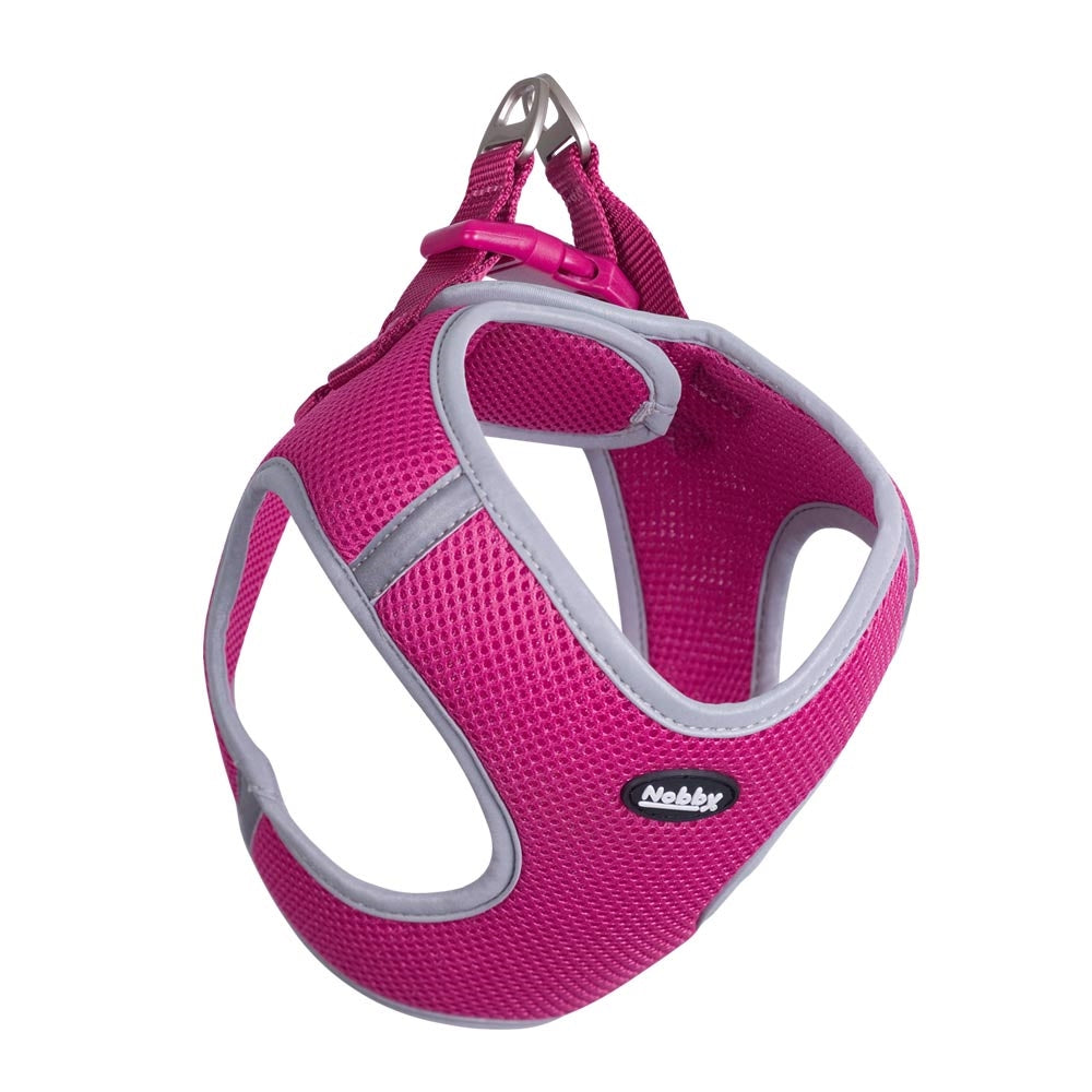Mesh Geschirr "DELIGHT" – Leicht, bequem & perfekt für warme Tage 🐶☀️