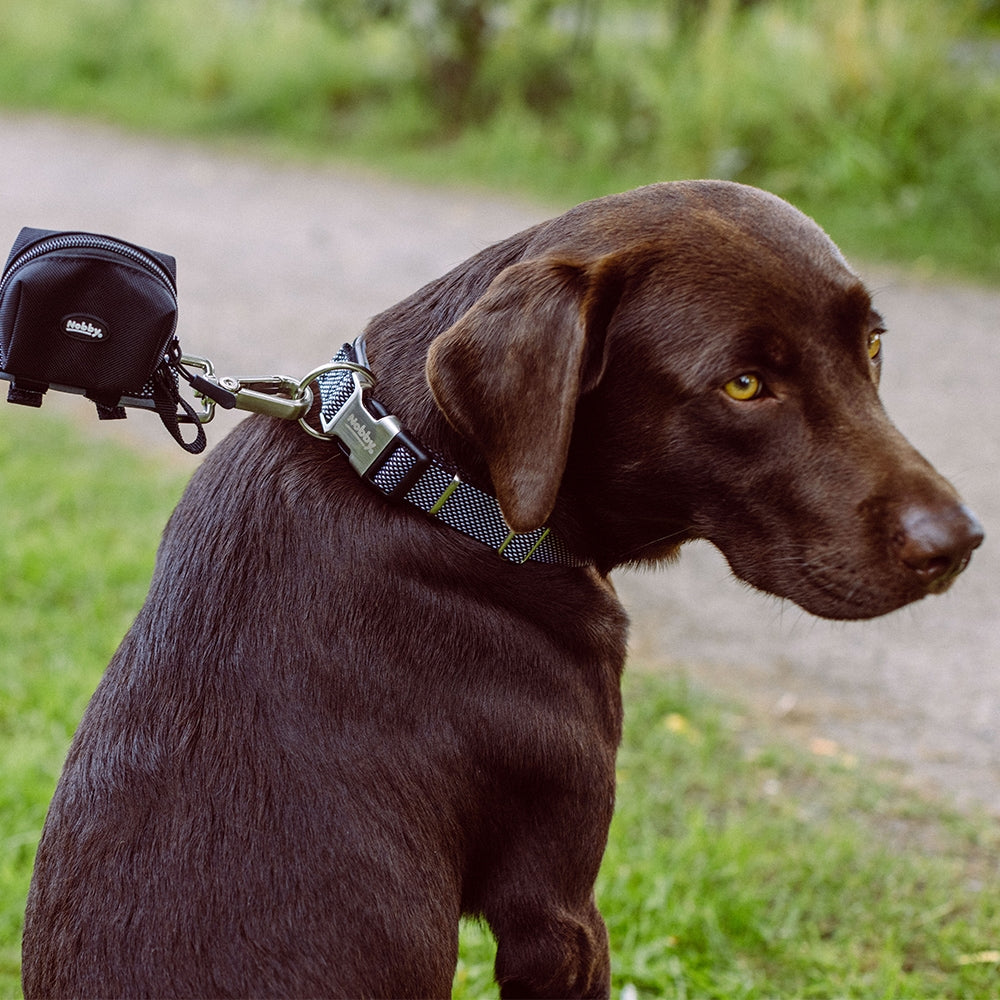 Halsband "Classic Preno Royal" – Königlicher Komfort für deinen Hund