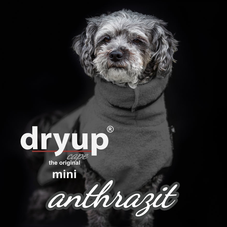 DRYUP CAPE Mini – Hundebademantel für die Kleinen und Kleinsten