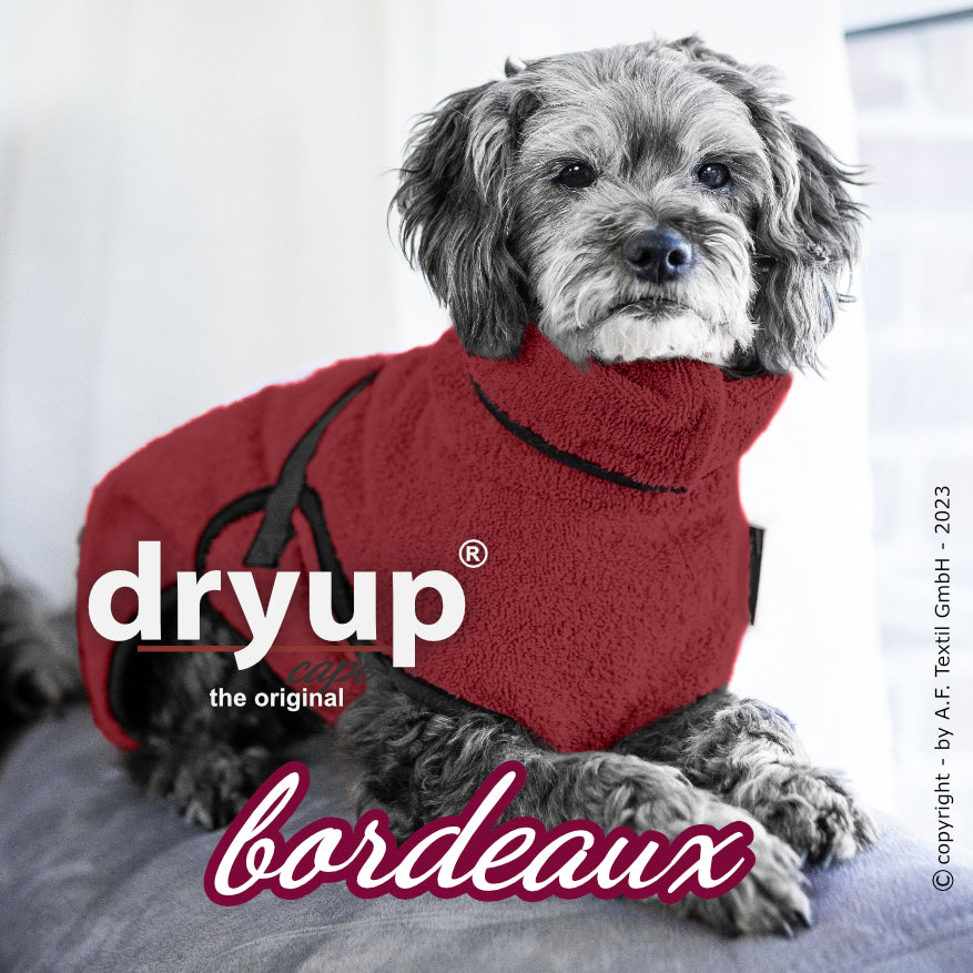 DRYUP CAPE Mini – Hundebademantel für die Kleinen und Kleinsten