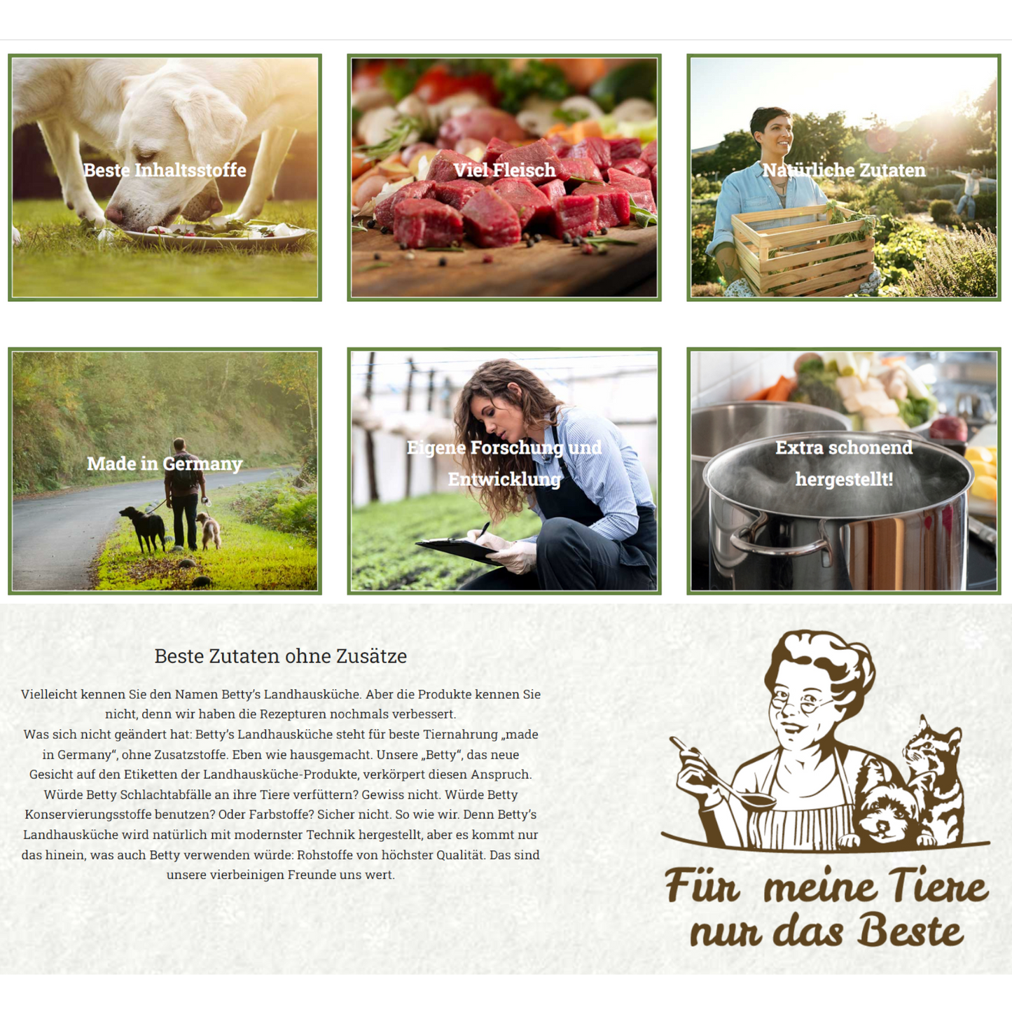 Betty´s LHK Cat - Frischebeutel mit Rind, Truthahn & Möhrchen für Senior