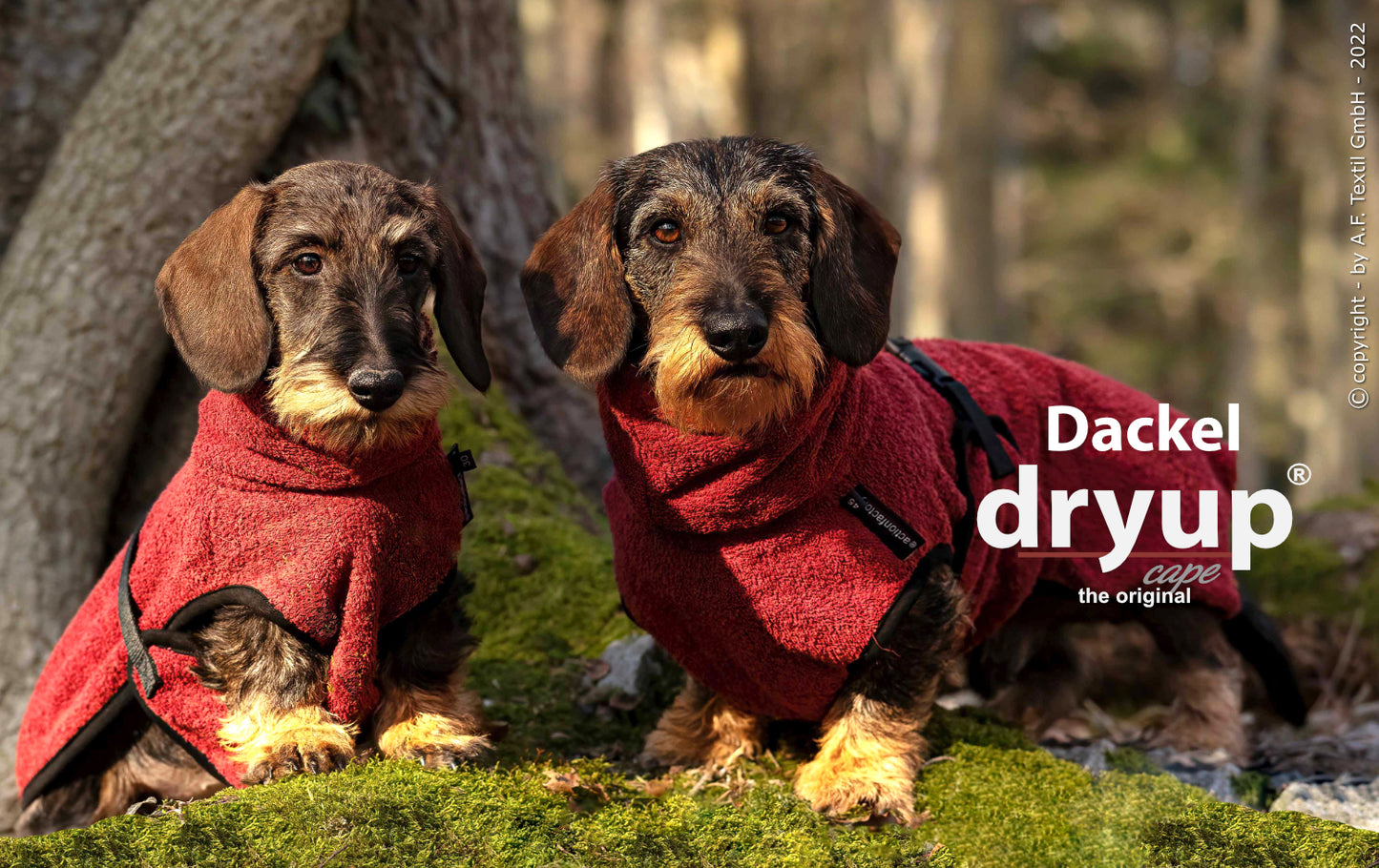 DRYUP CAPE Dackel & Co – Hundebademantel für langrückige Rassen