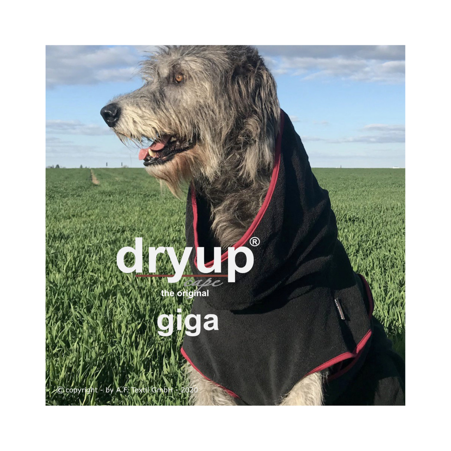 DRYUP CAPE Giga – Hundebademantel für besonders große Hunde