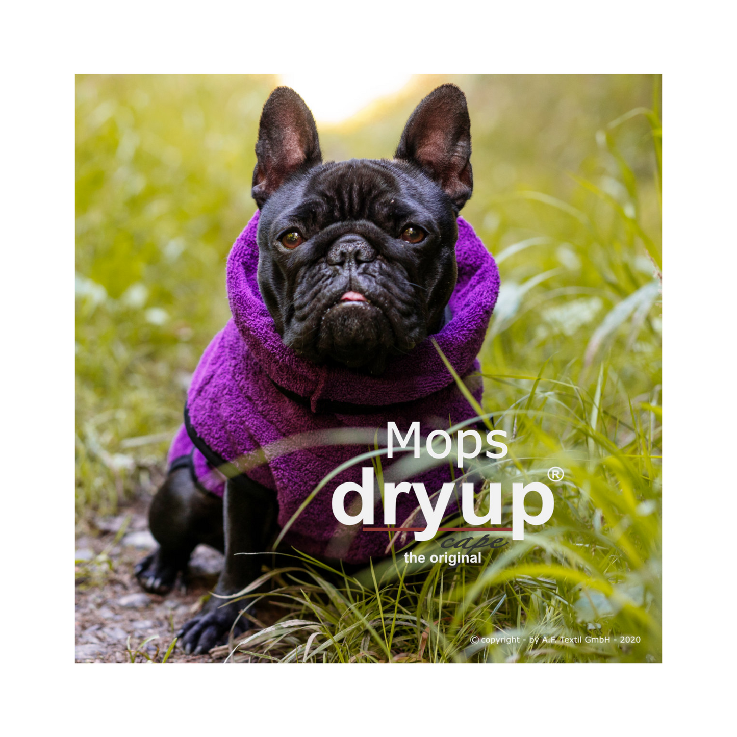 DRYUP CAPE Mops & Co – Hundebademantel für kompakte Hunderassen