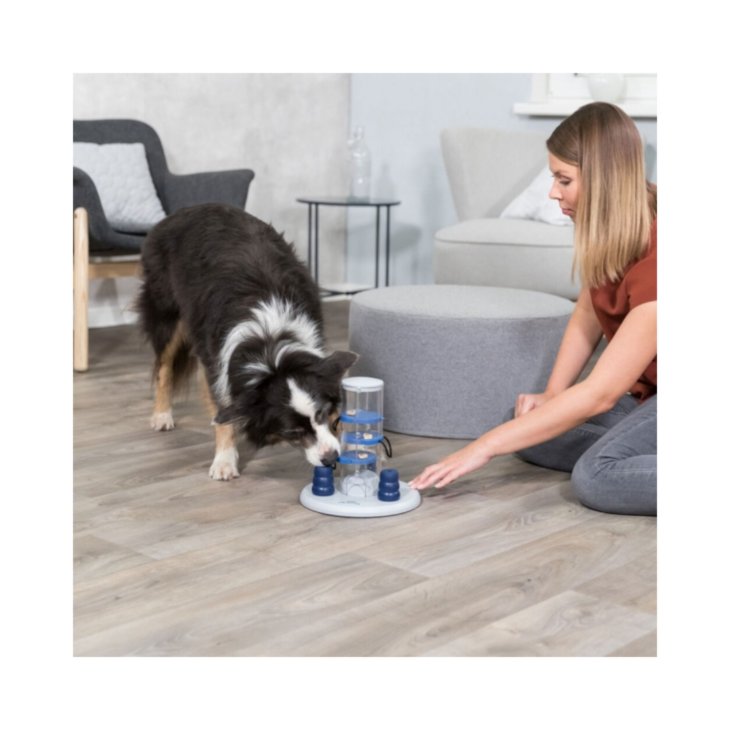 Dog Activity Gambling Tower – Strategietraining für schlaue Spürnasen