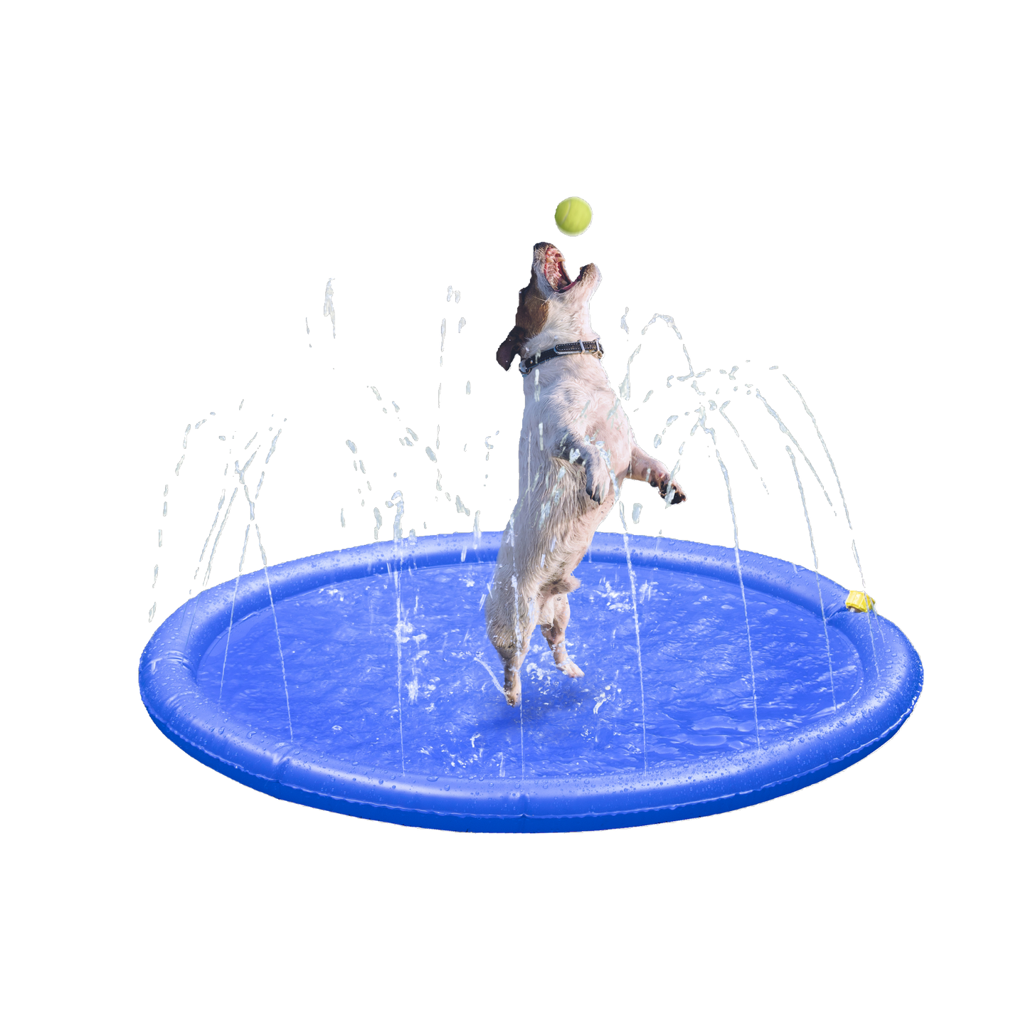 Fresk Lenny Wasserspielzeug – Sommerlicher Spritzspaß für Ihren Hund