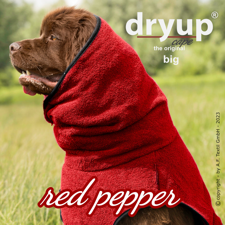 DRYUP CAPE Big – Hundebademantel für große Hunderassen