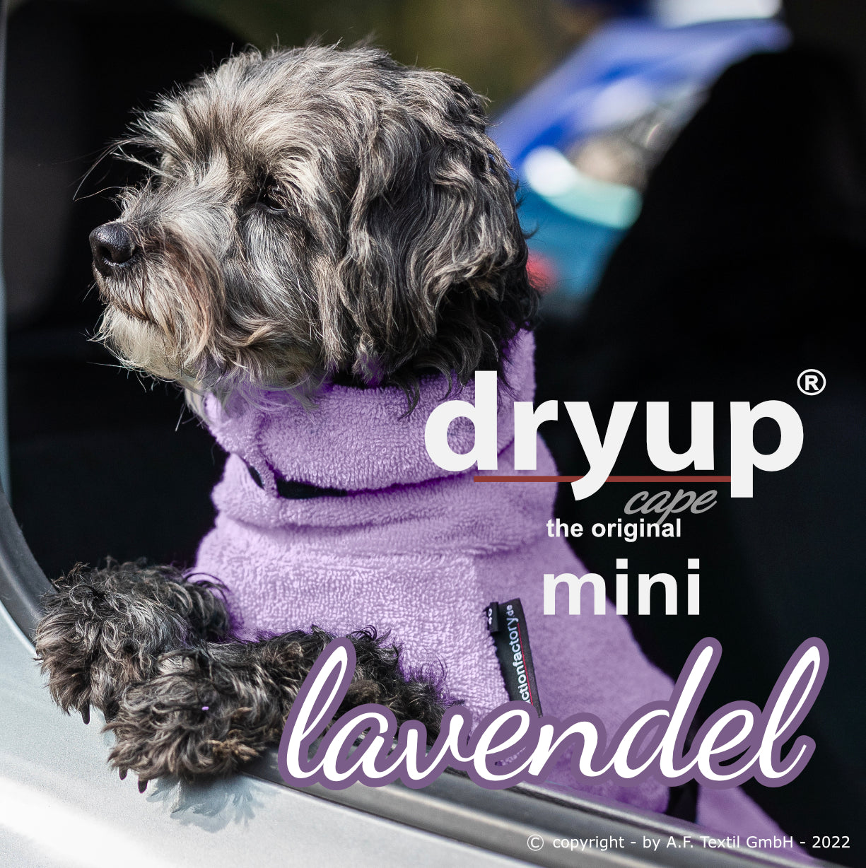 DRYUP CAPE Mini – Hundebademantel für die Kleinen und Kleinsten