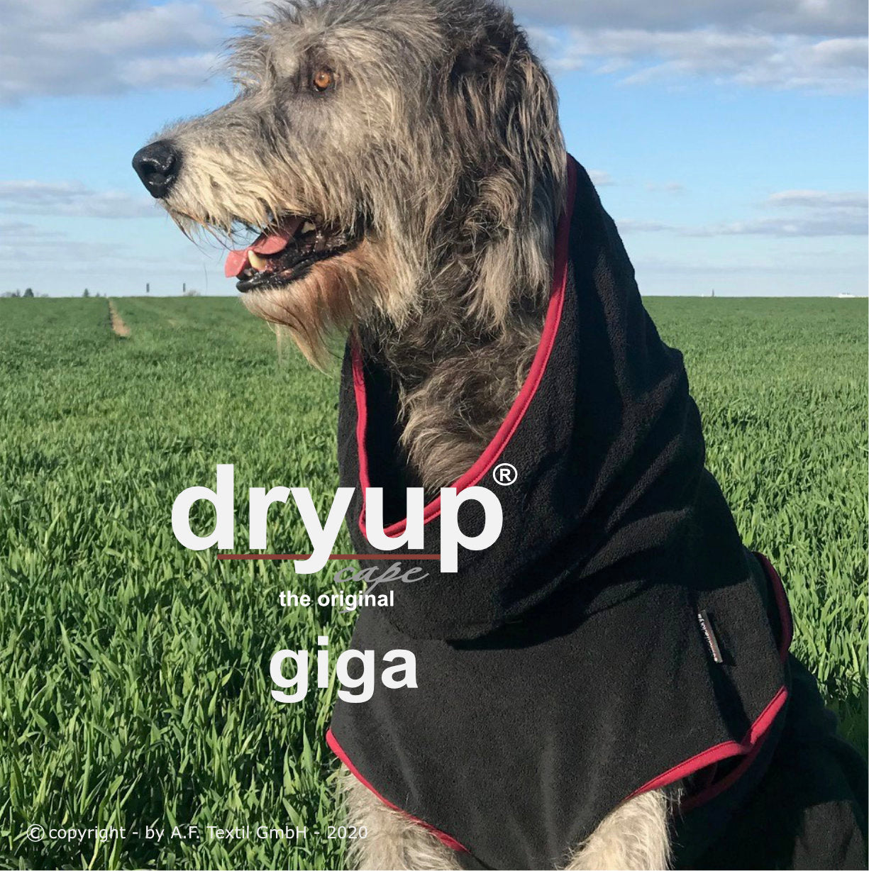 DRYUP CAPE Giga – Hundebademantel für besonders große Hunde