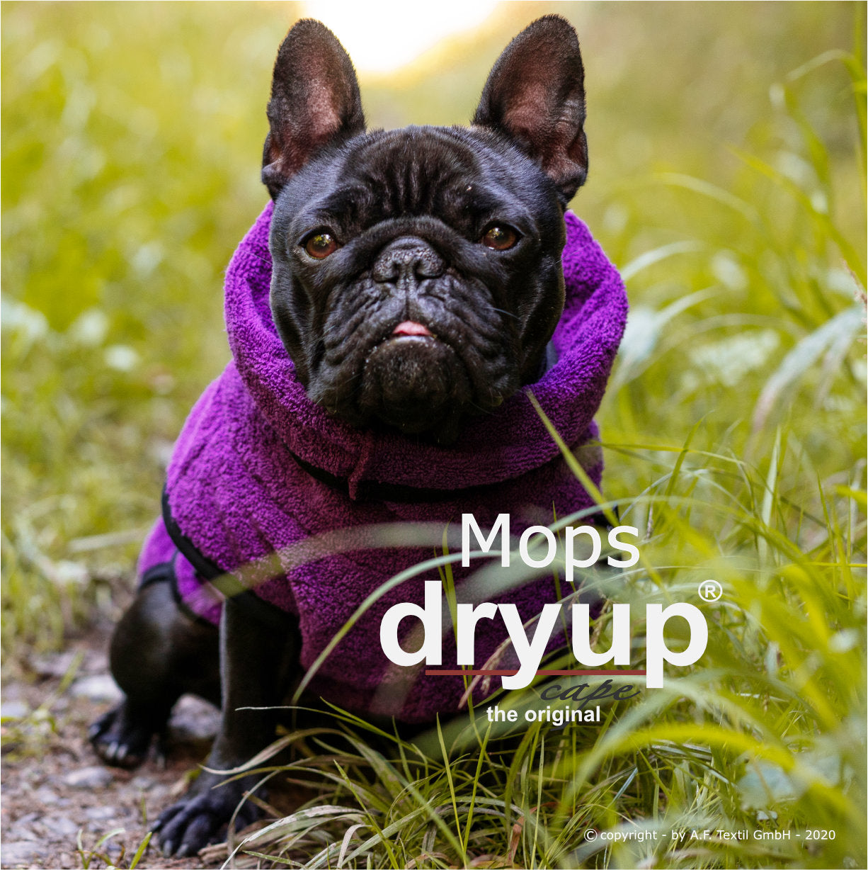DRYUP CAPE Mops & Co – Hundebademantel für kompakte Hunderassen