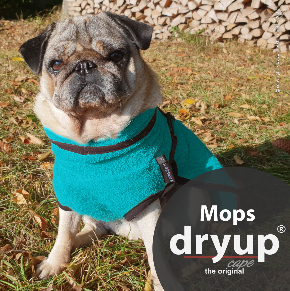 DRYUP CAPE Mops & Co – Hundebademantel für kompakte Hunderassen