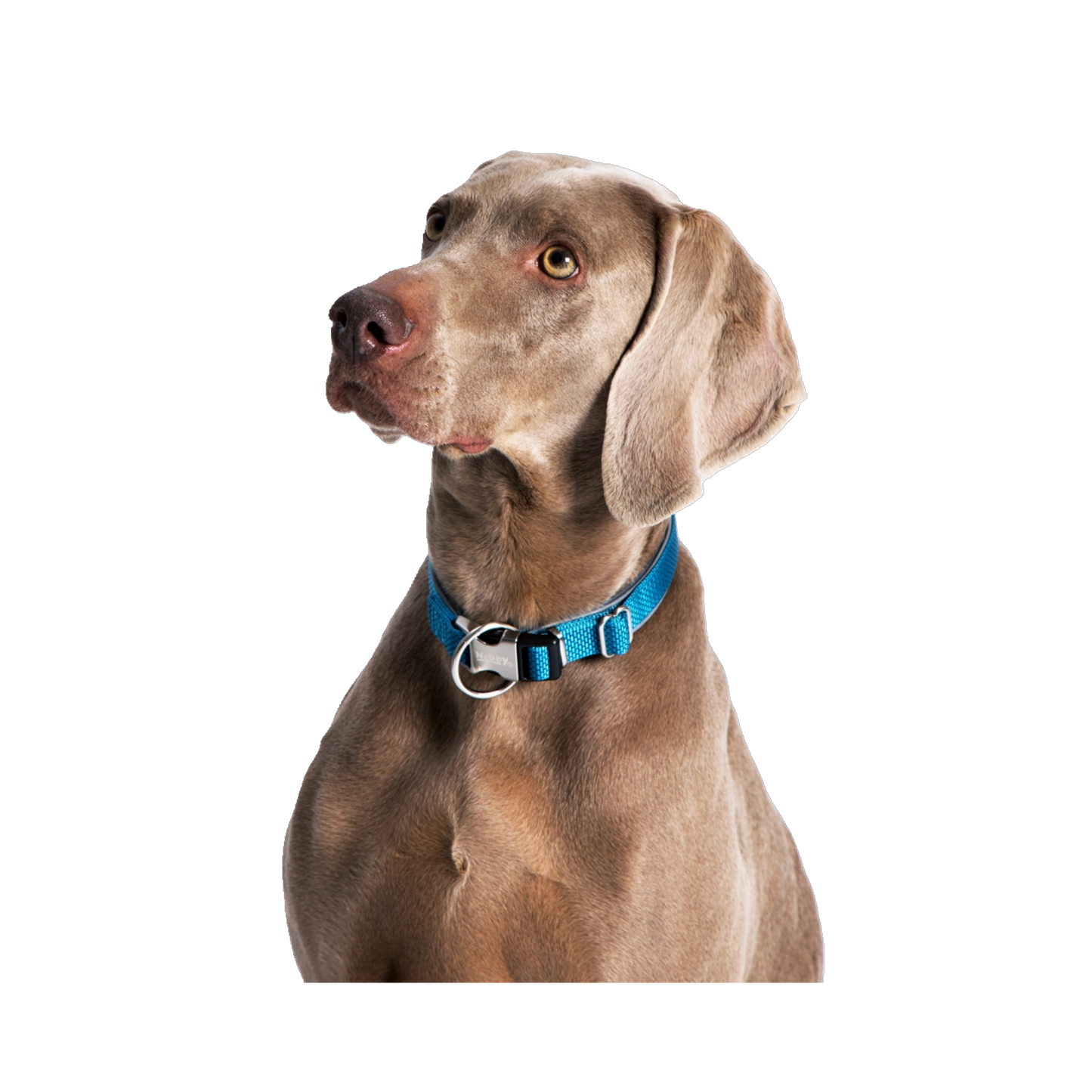 Halsband "Classic Preno Royal" – Königlicher Komfort für deinen Hund