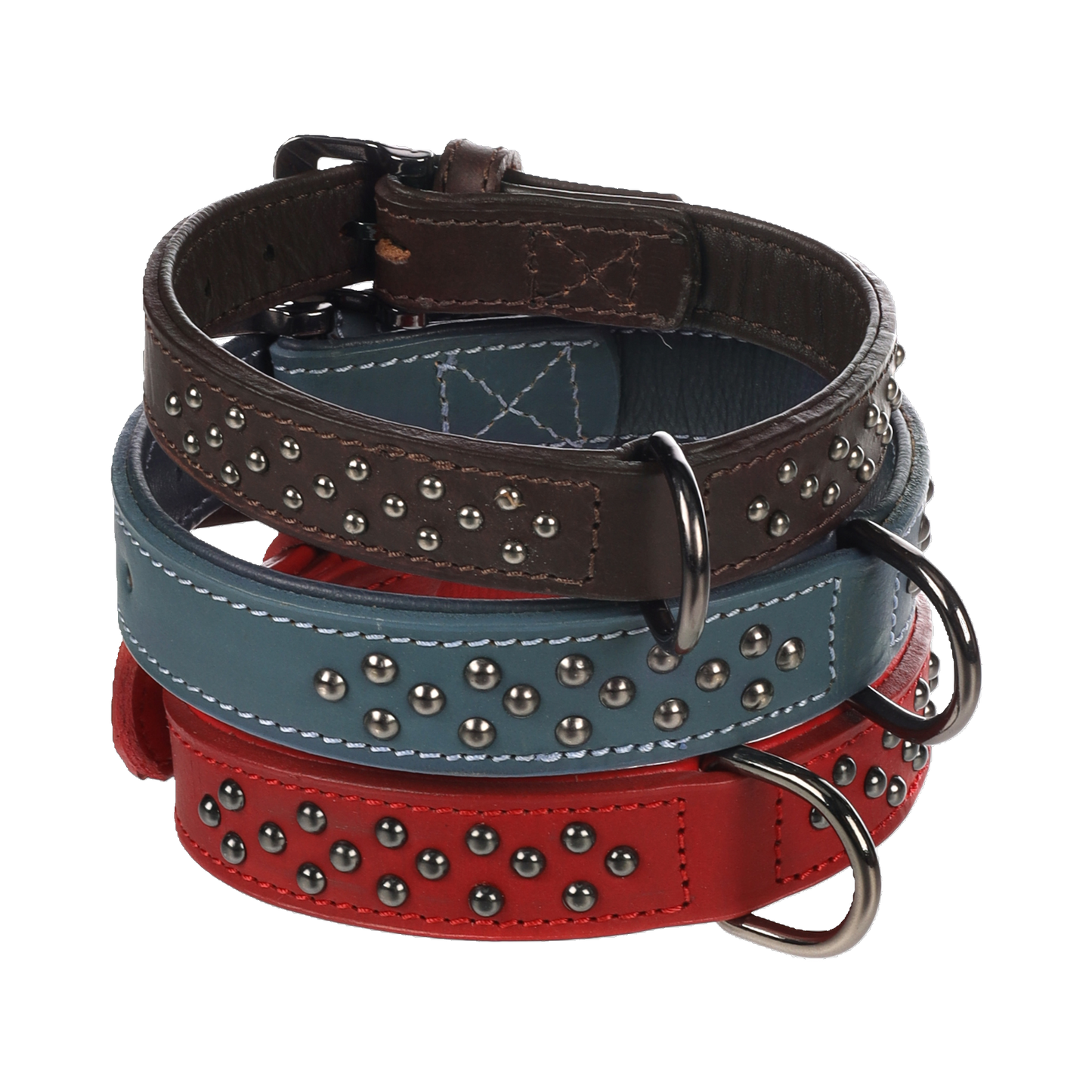 Halsband Denver – Robustes Design mit stylischen Nieten