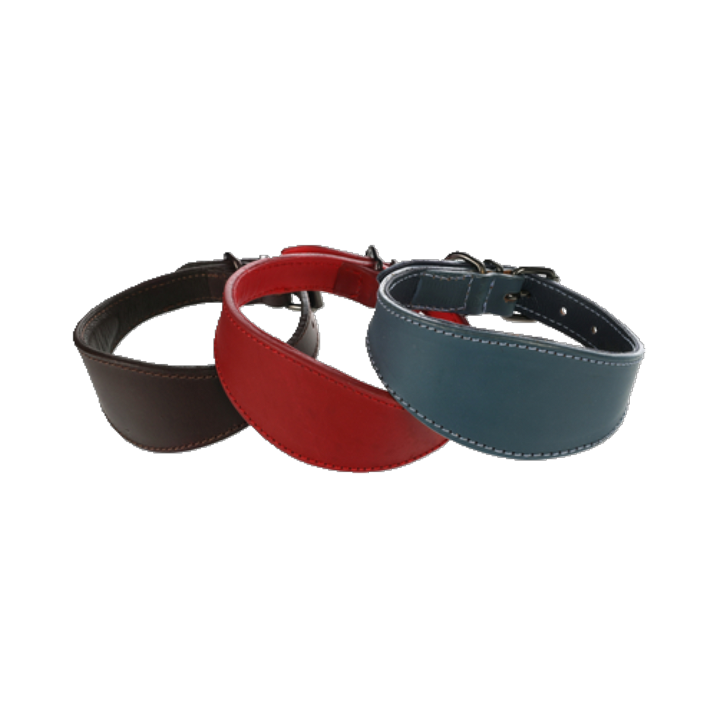 Halsband Windhund Denver – Eleganz & Komfort für schlanke Hälse