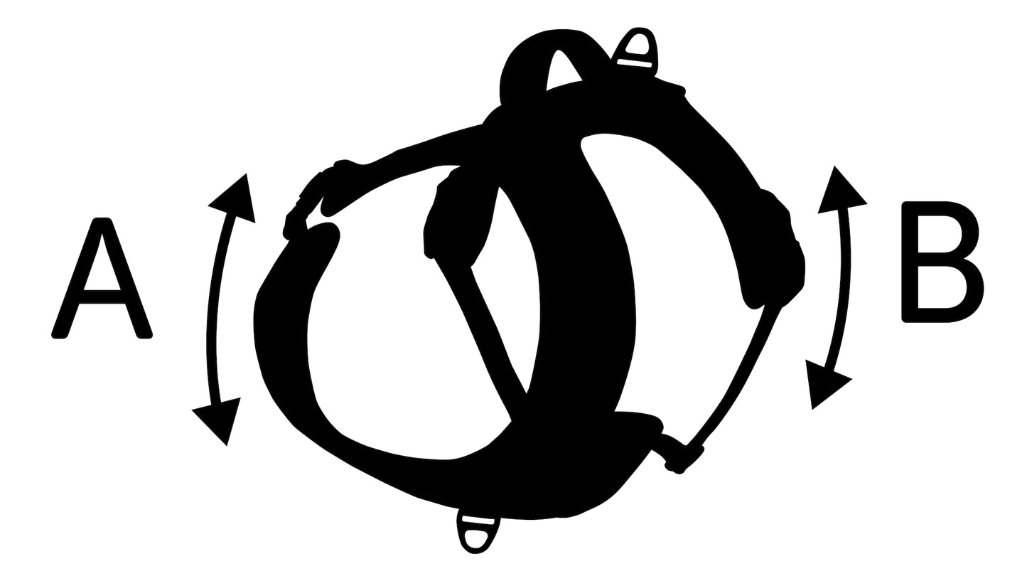 Toga Hundegeschirr – Perfekte Passform & Sicherheit bei jedem Abenteuer
