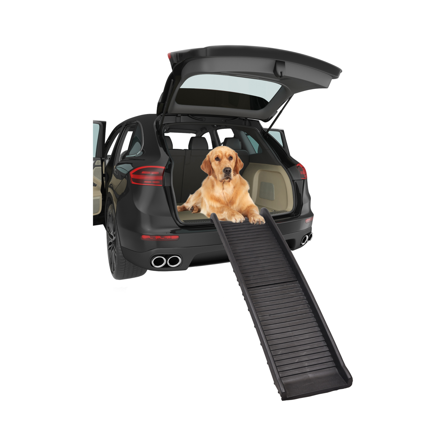 Hunderampe Zenna – Die ideale Einstiegshilfe für deinen Hund!