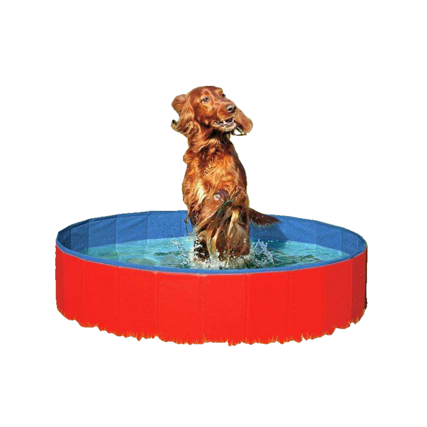 Karlie DOGGY POOL – Sommer, Sonne, Wasserspaß für Ihren Vierbeiner