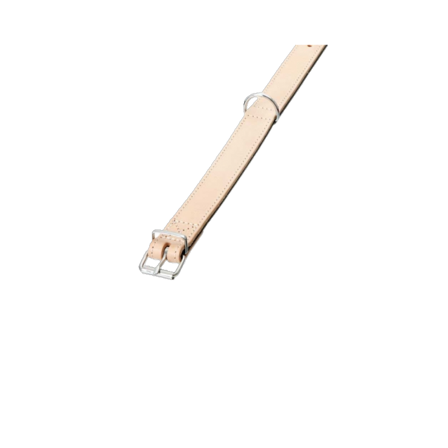Karlie RONDO Halsband – Edles Lederhalsband für stilbewusste Hunde