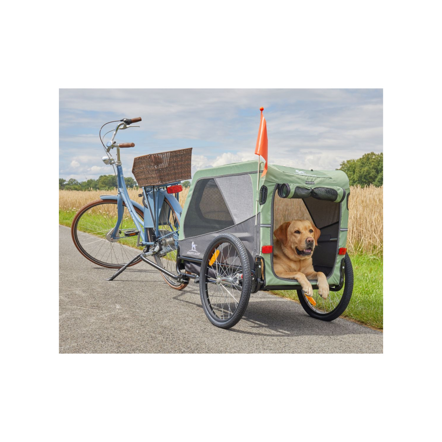 Knuffelwuff Cruvado – sicherer Hundeanhänger & Buggy für komfortable Ausflüge