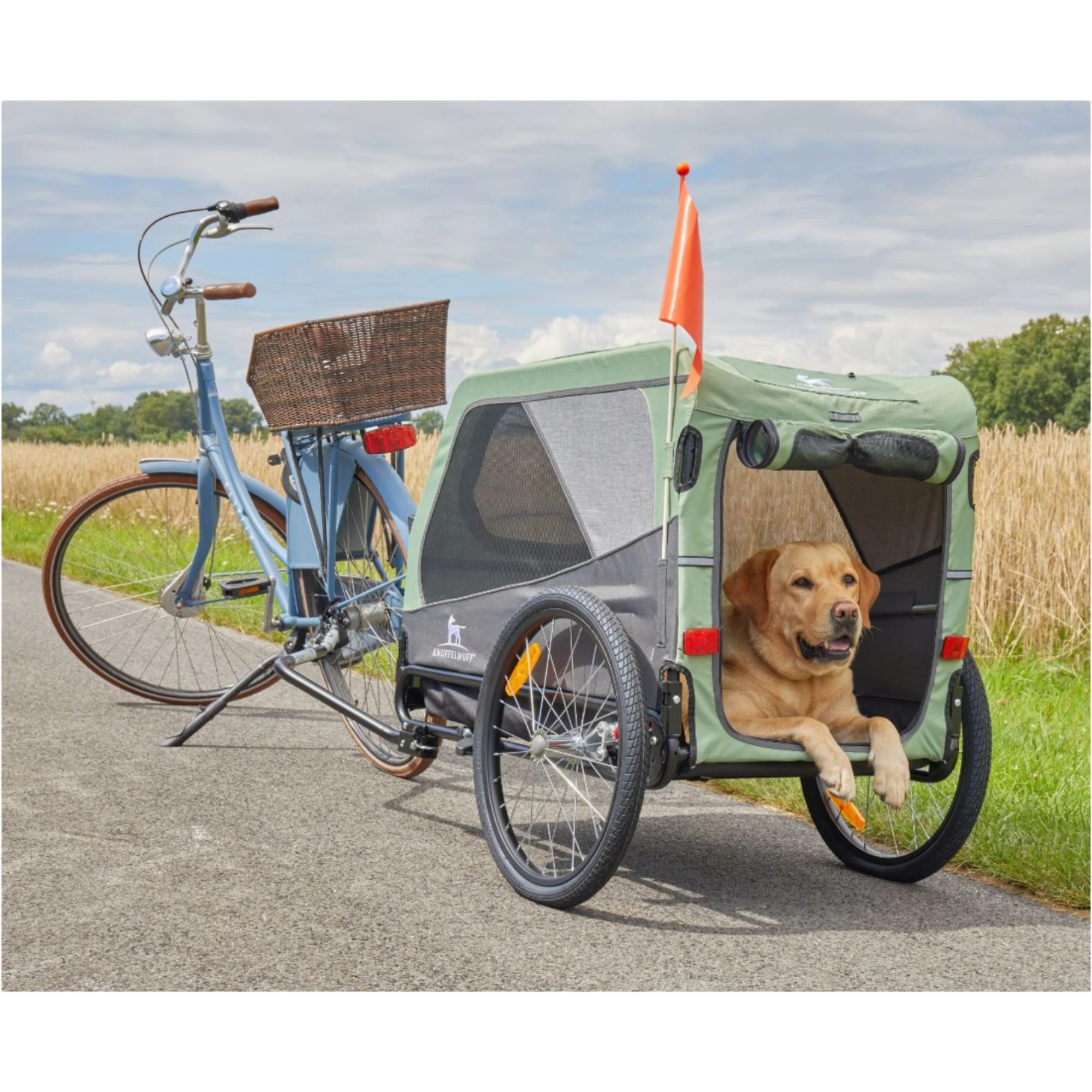 Knuffelwuff Cruvado – sicherer Hundeanhänger & Buggy für komfortable A