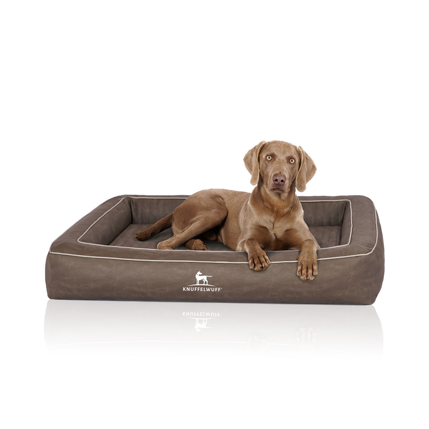 Knuffelwuff Orthopädisches Hundebett Montego – Luxuriöser Schlafkomfort für höchste Ansprüche