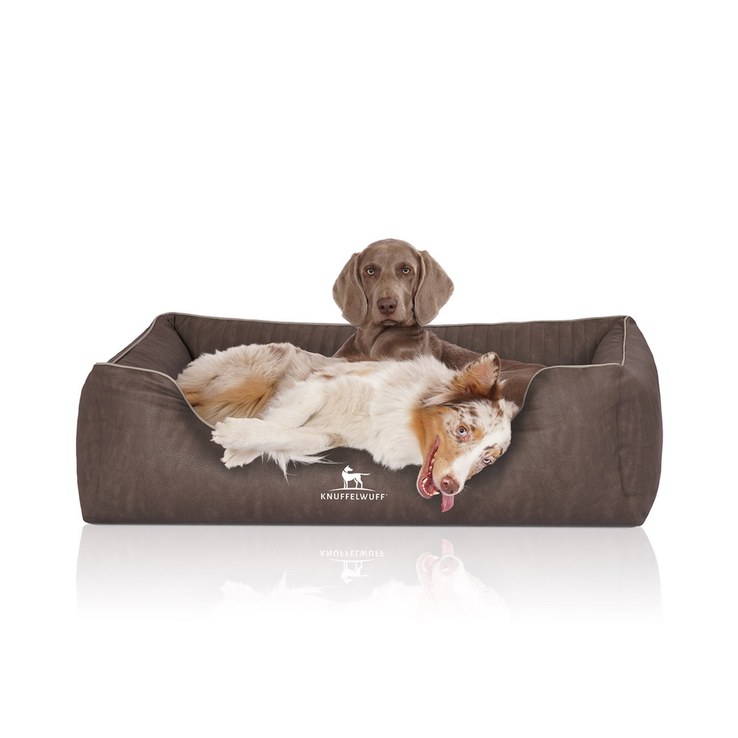Knuffelwuff Orthopädisches Hundebett Tampa – Eleganz trifft auf höchsten Komfort