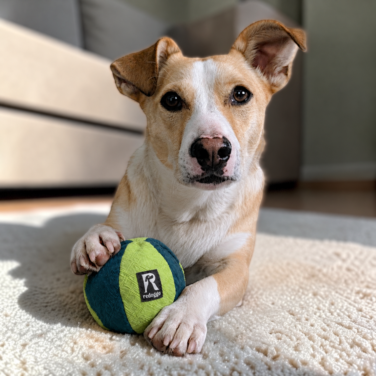 Redoggo Ball – Robustes Hundespielzeug aus Upcycling-Material