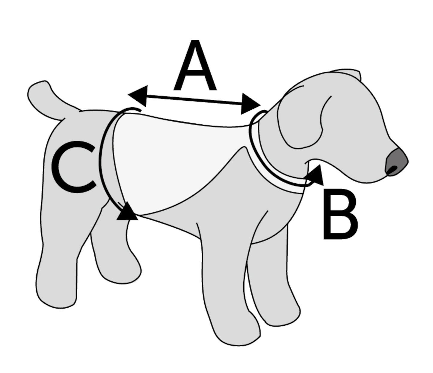 Fluoreszierende Sicherheitsweste für Hunde