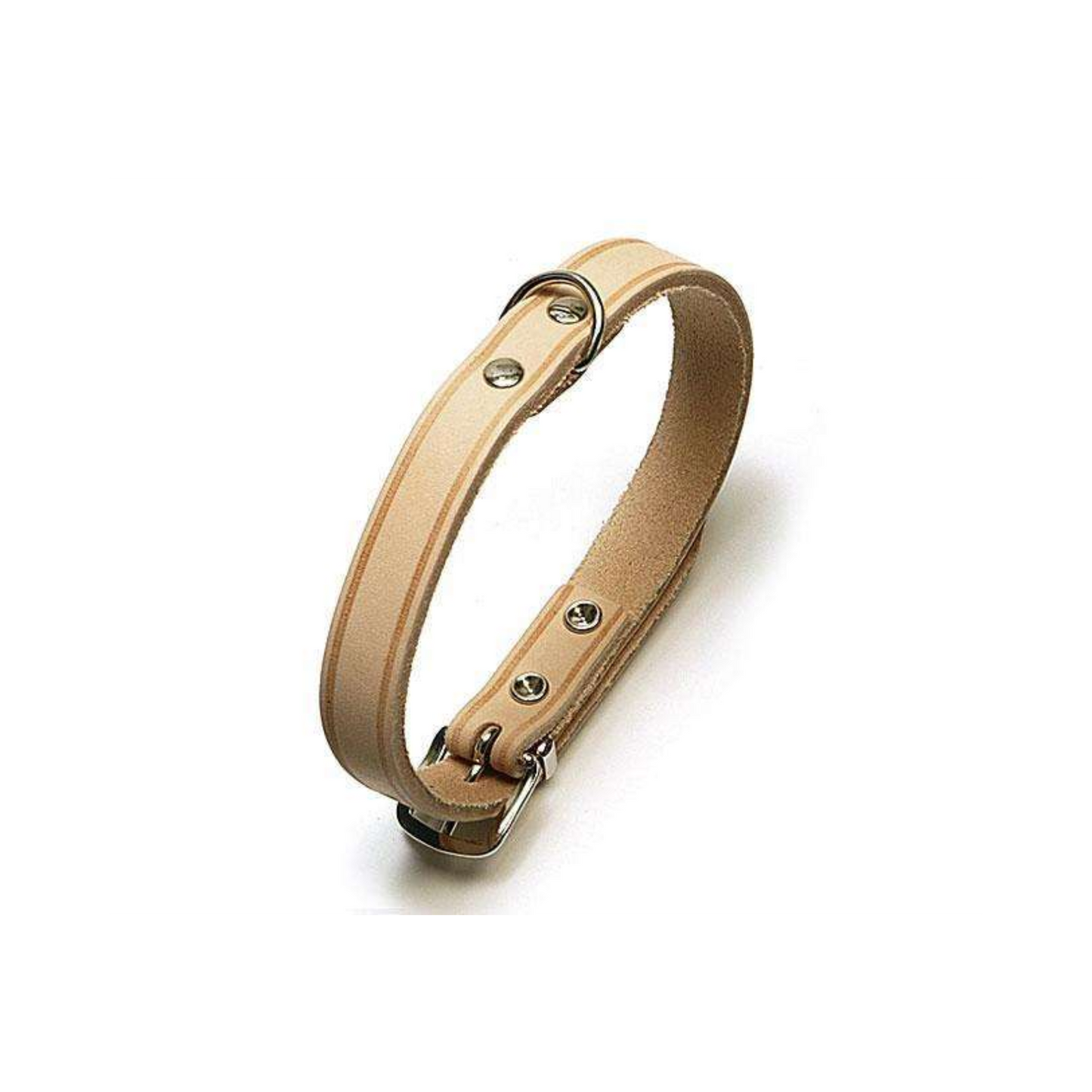 Rondo Genietetes Hundehalsband – Stilvolle Robustheit für deinen Vierbeiner