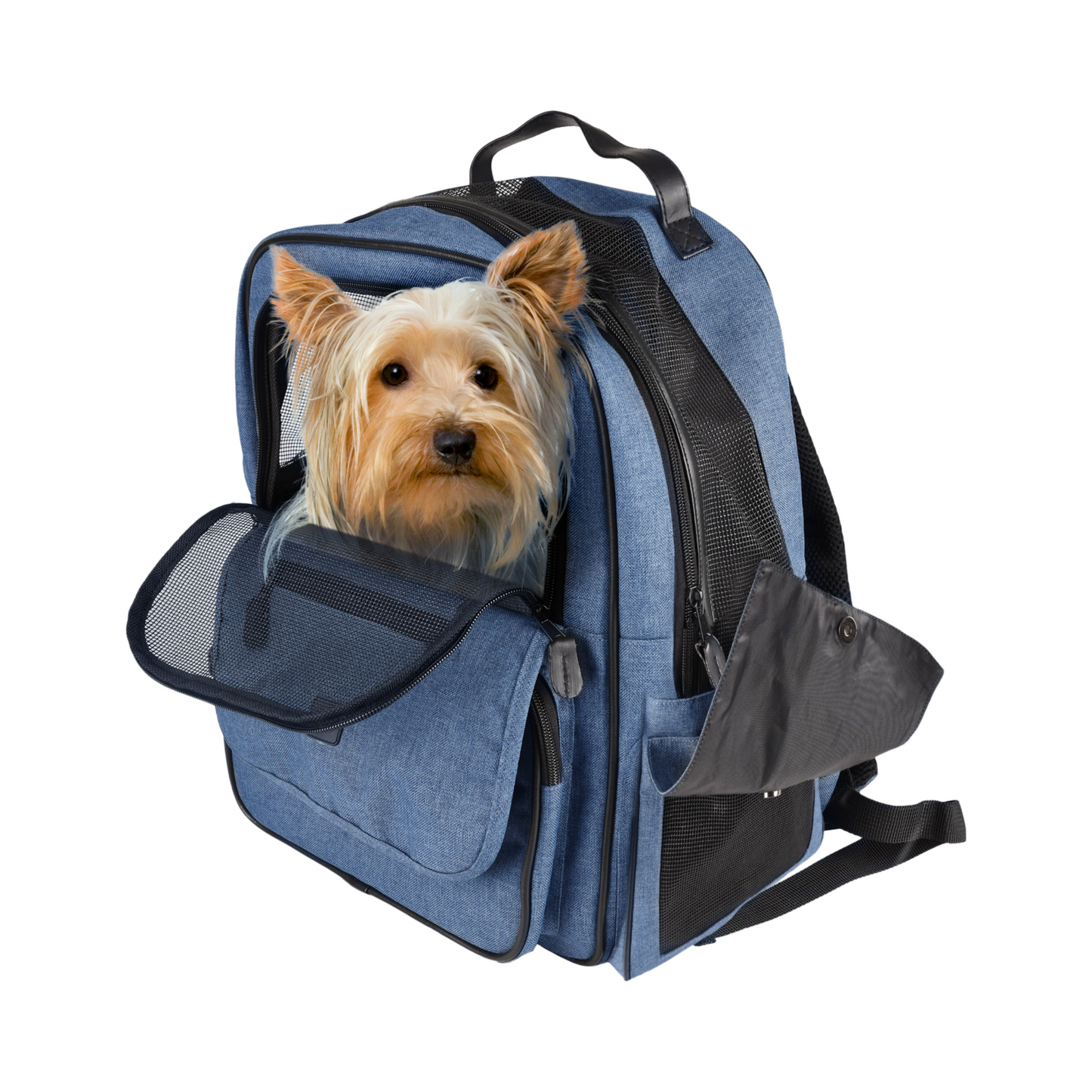 Rucksack Wiro – Komfortabler Transport für kleine Hunde & Welpen