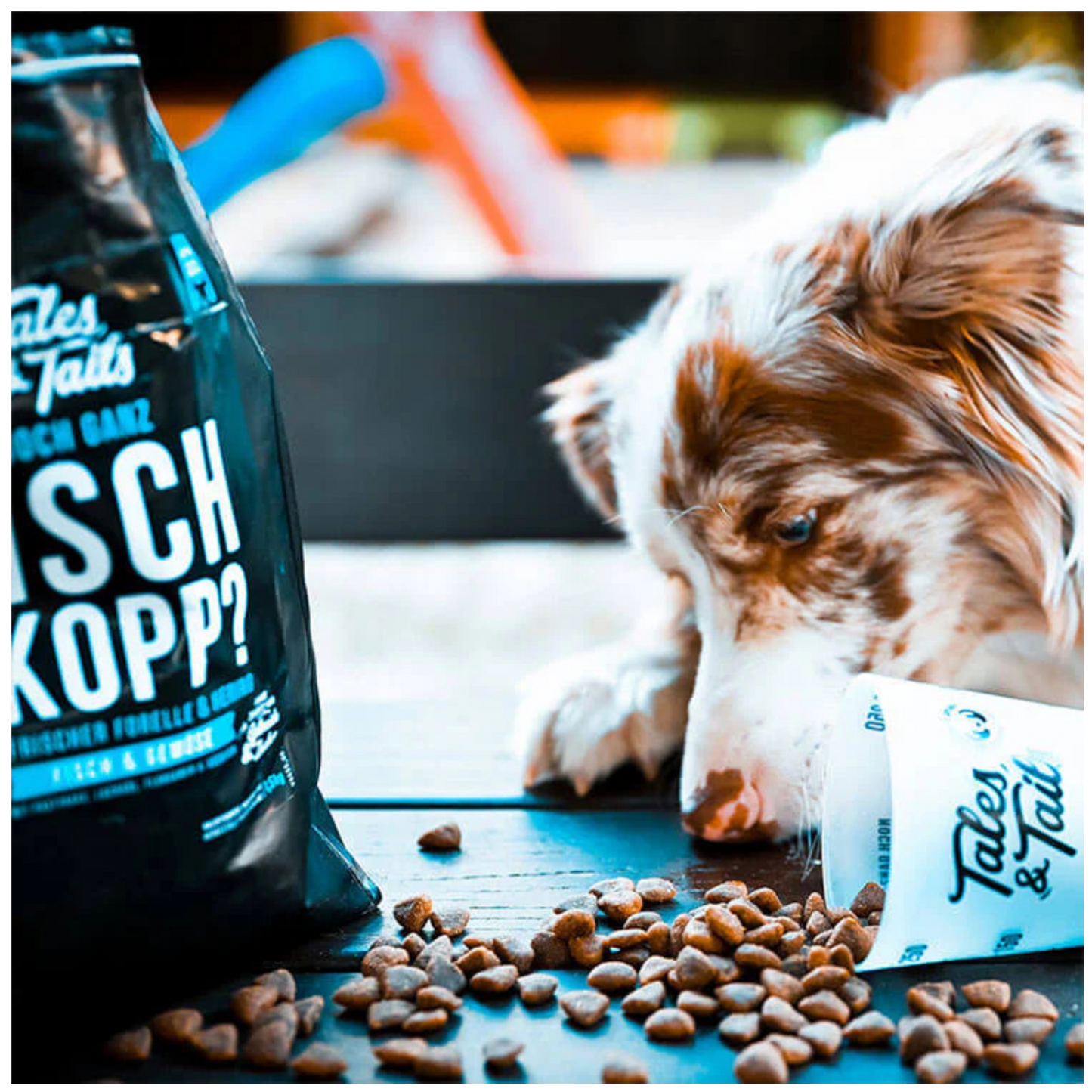 Tales & Tails Dog – Noch ganz Fisch im Kopp