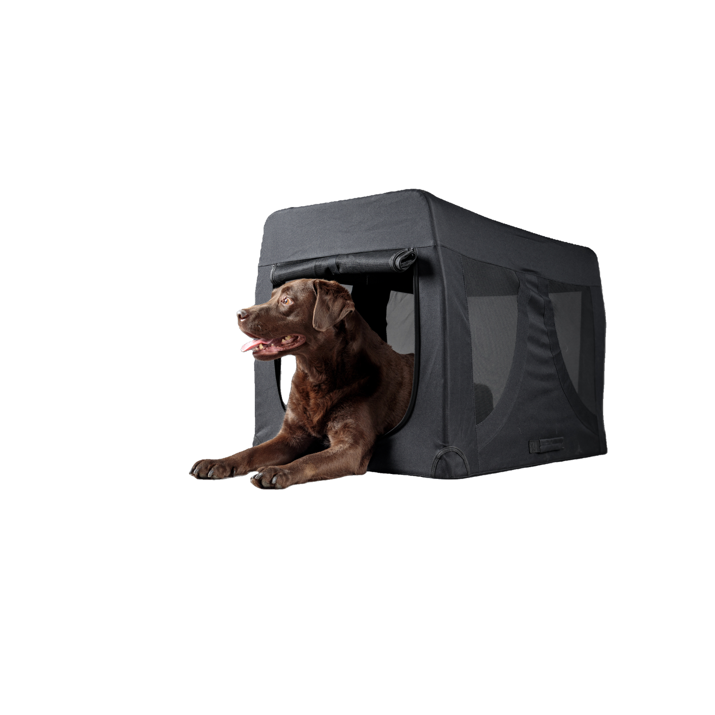 Transportkäfig Gepetto Schwarz – Leicht, Faltbar & Sicher für Ihren Hund!