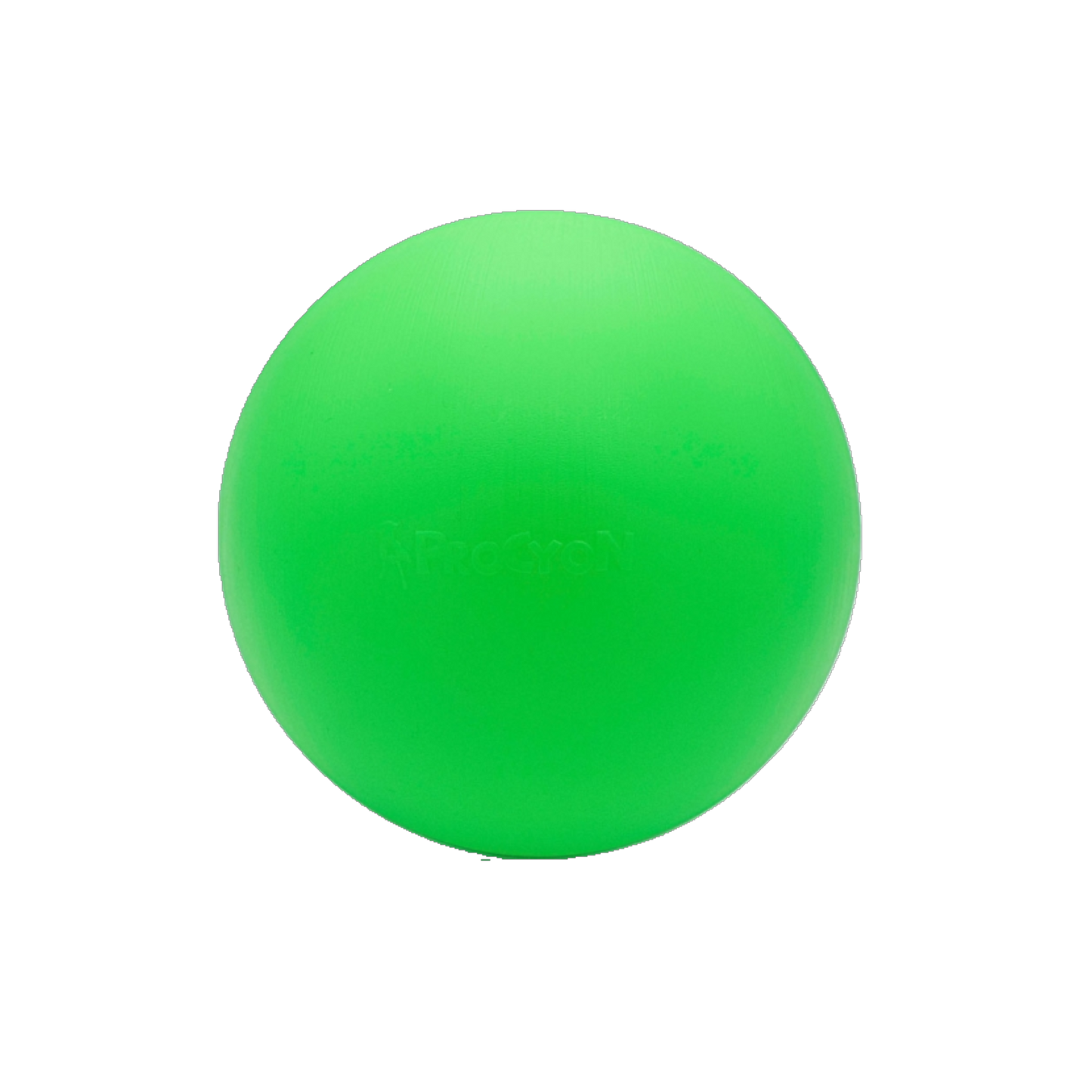 Treibball – Spiel, Sport und Köpfchen im kompakten Format