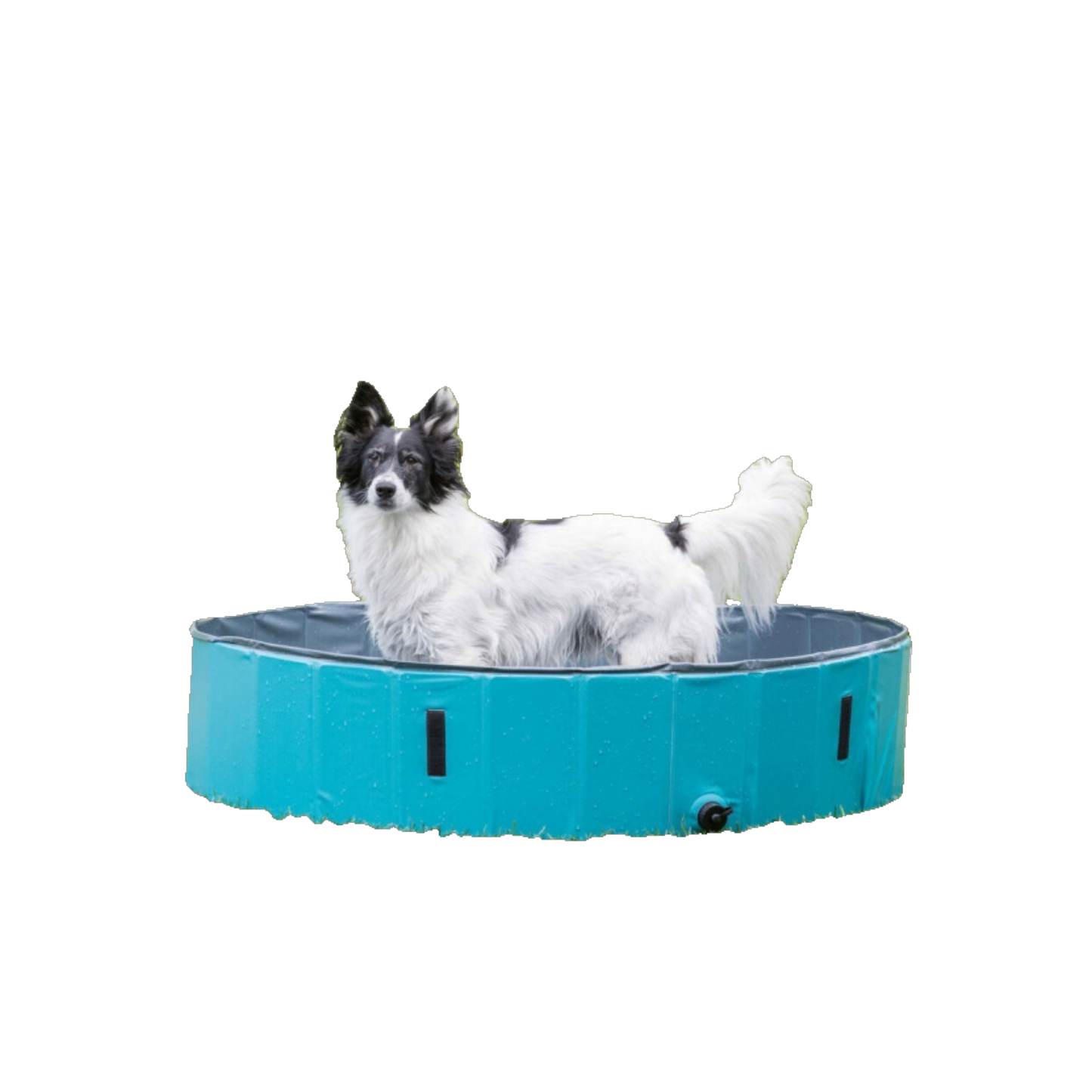 Trixie Hundepool – Abkühlung leicht gemacht
