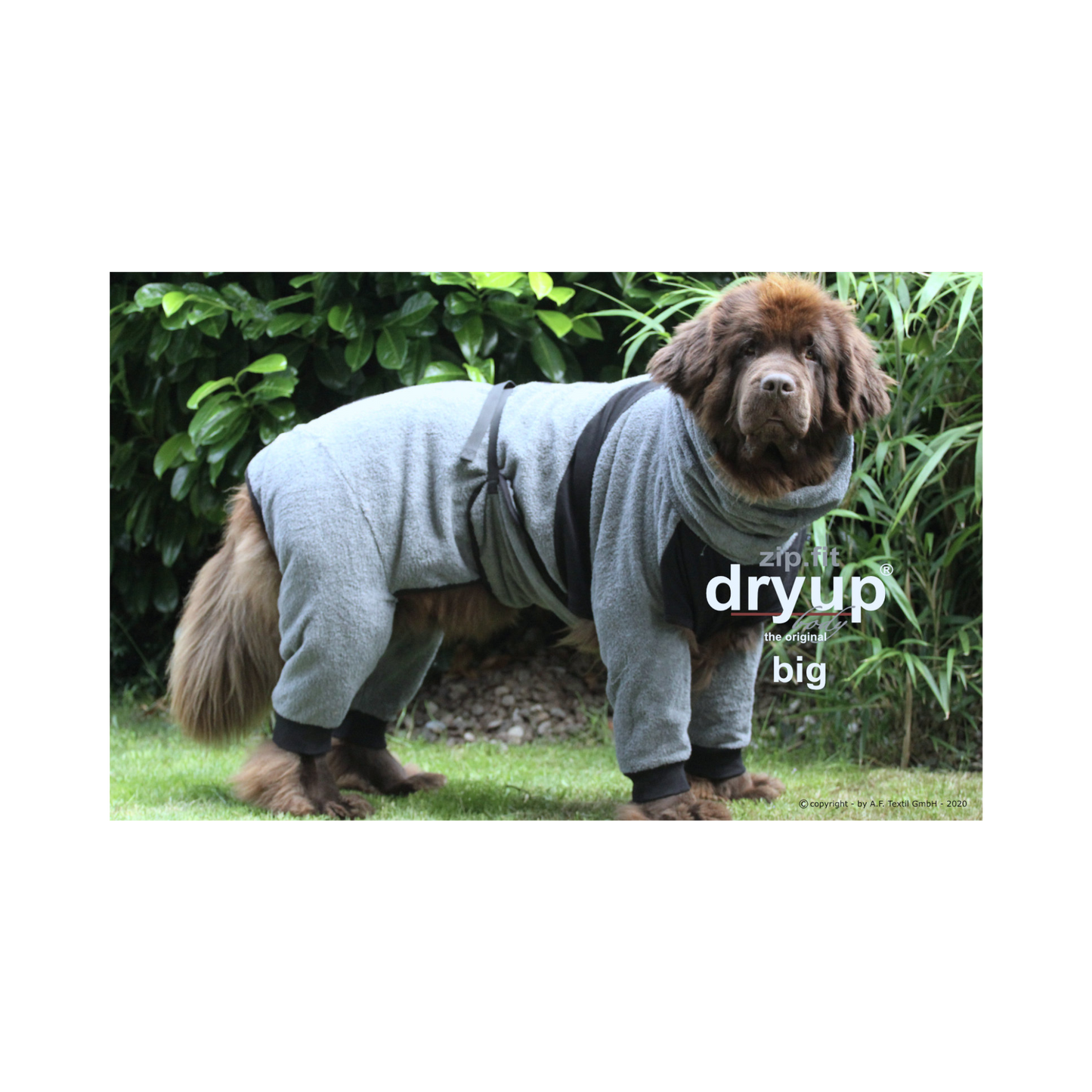 ZIP.FIT DRYUP Body Big – Der Trockenbody mit langen Beinen für große Hunde
