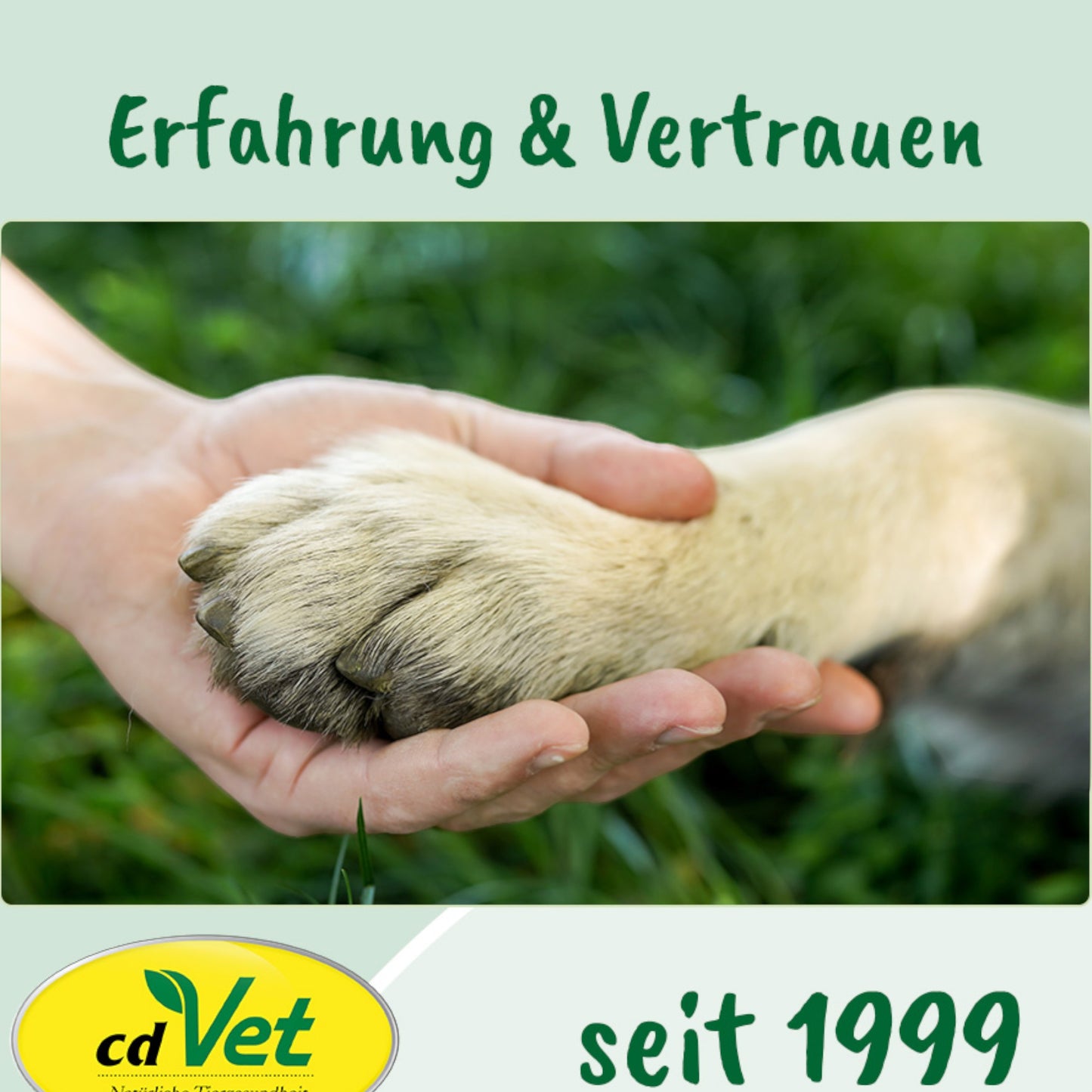 cdVet Dog – Ohrenpflege für Hunde
