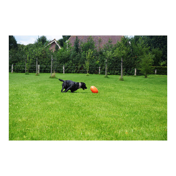 Dog Comets Pan-Stars Treibei – Der intergalaktische Spielspaß für Ihren Hund