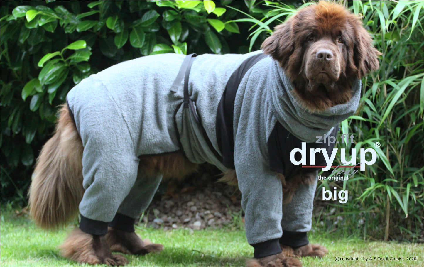 ZIP.FIT DRYUP Body Big – Der Trockenbody mit langen Beinen für große Hunde