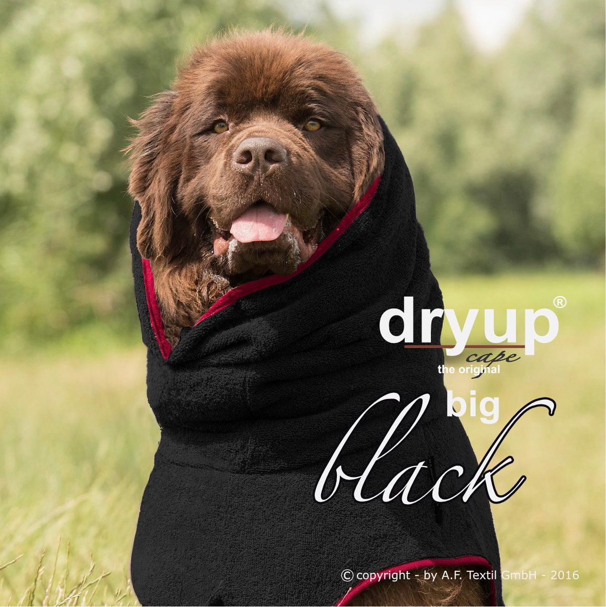 DRYUP CAPE Big – Hundebademantel für große Hunderassen