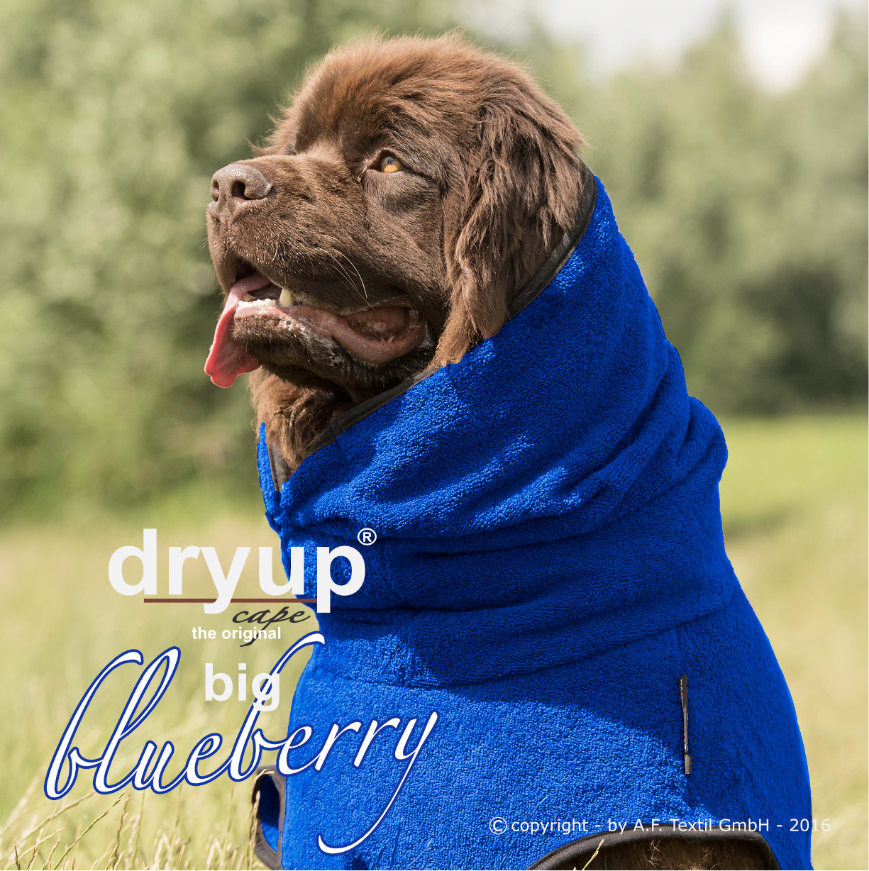 DRYUP CAPE Big – Hundebademantel für große Hunderassen