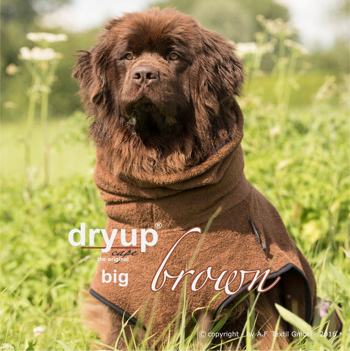DRYUP CAPE Big – Hundebademantel für große Hunderassen