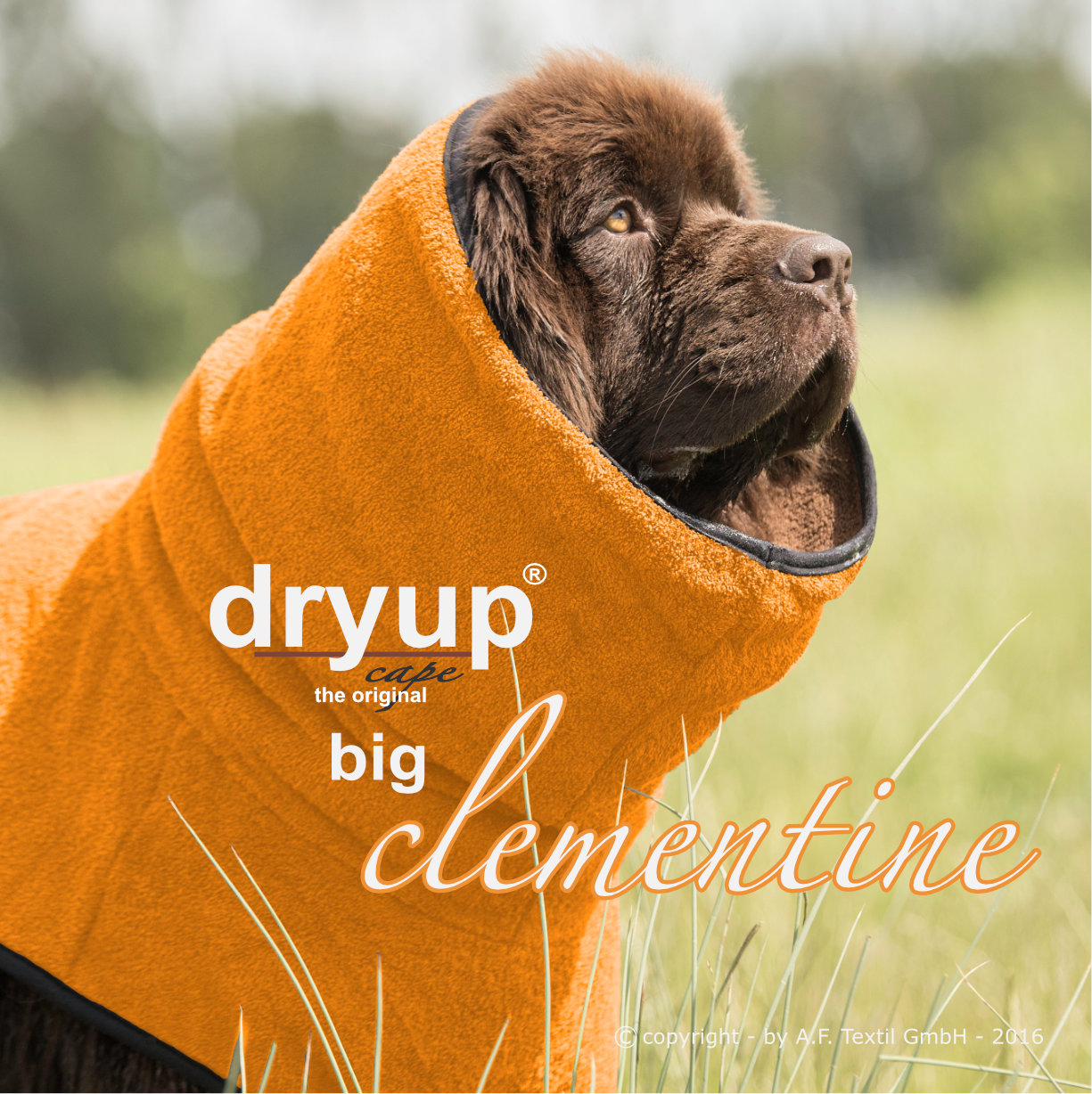 DRYUP CAPE Big – Hundebademantel für große Hunderassen